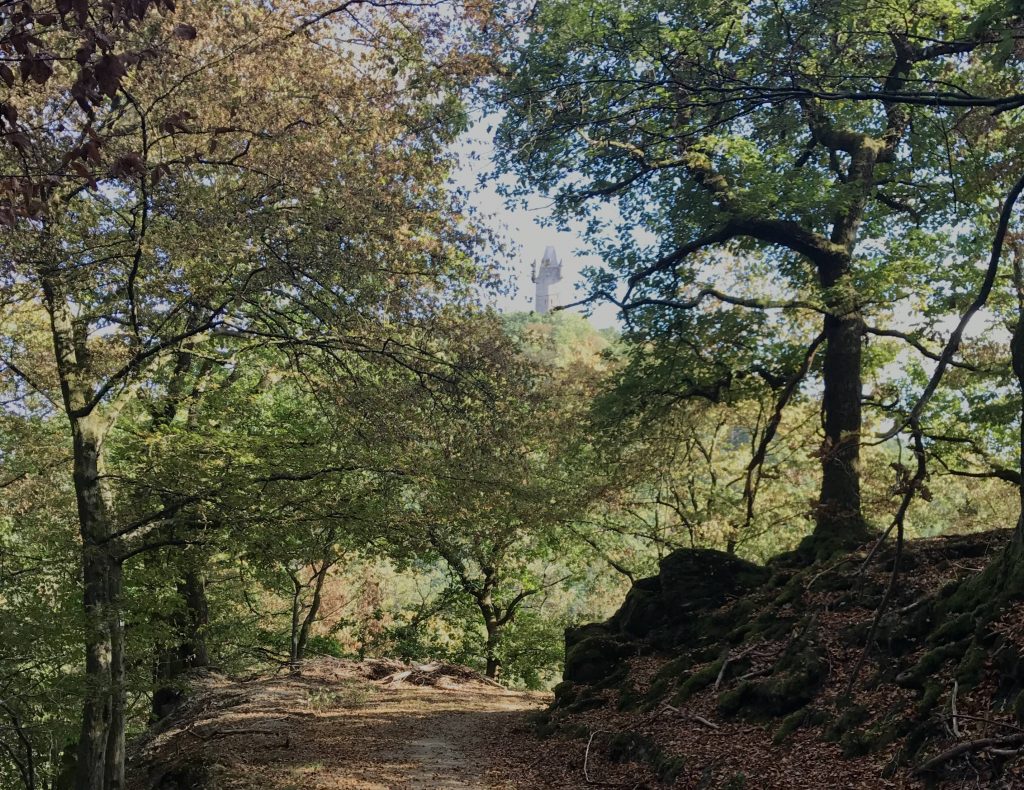 Immunsystem – Gesund durch Herbst und Winter