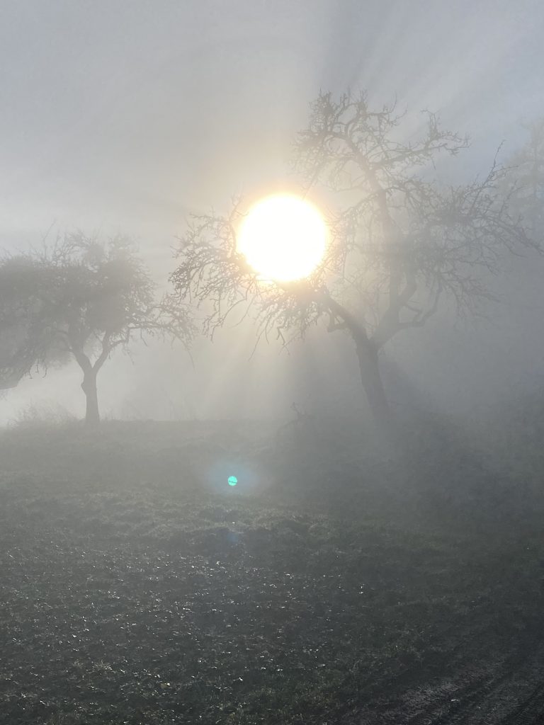 Was Rosinenbrot und Sonne im November (und nicht nur da) gemeinsam haben…